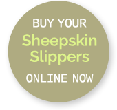 Buy NZ Sheepskin Slippers Online